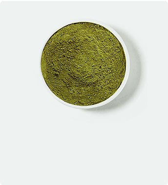 La variedad blanca de kratom en el recipiente