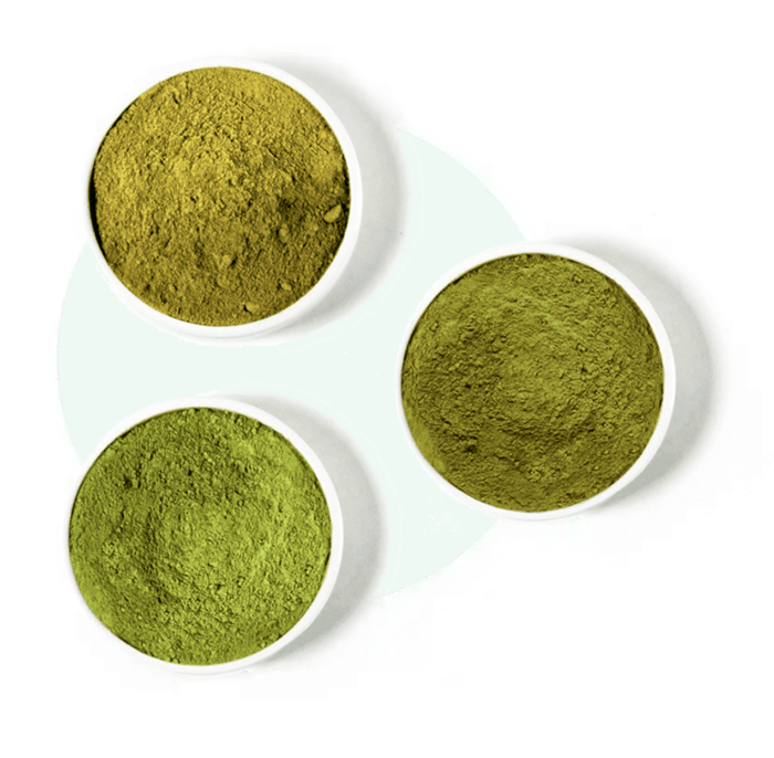 Tres tazones con diferentes tipos de kratom